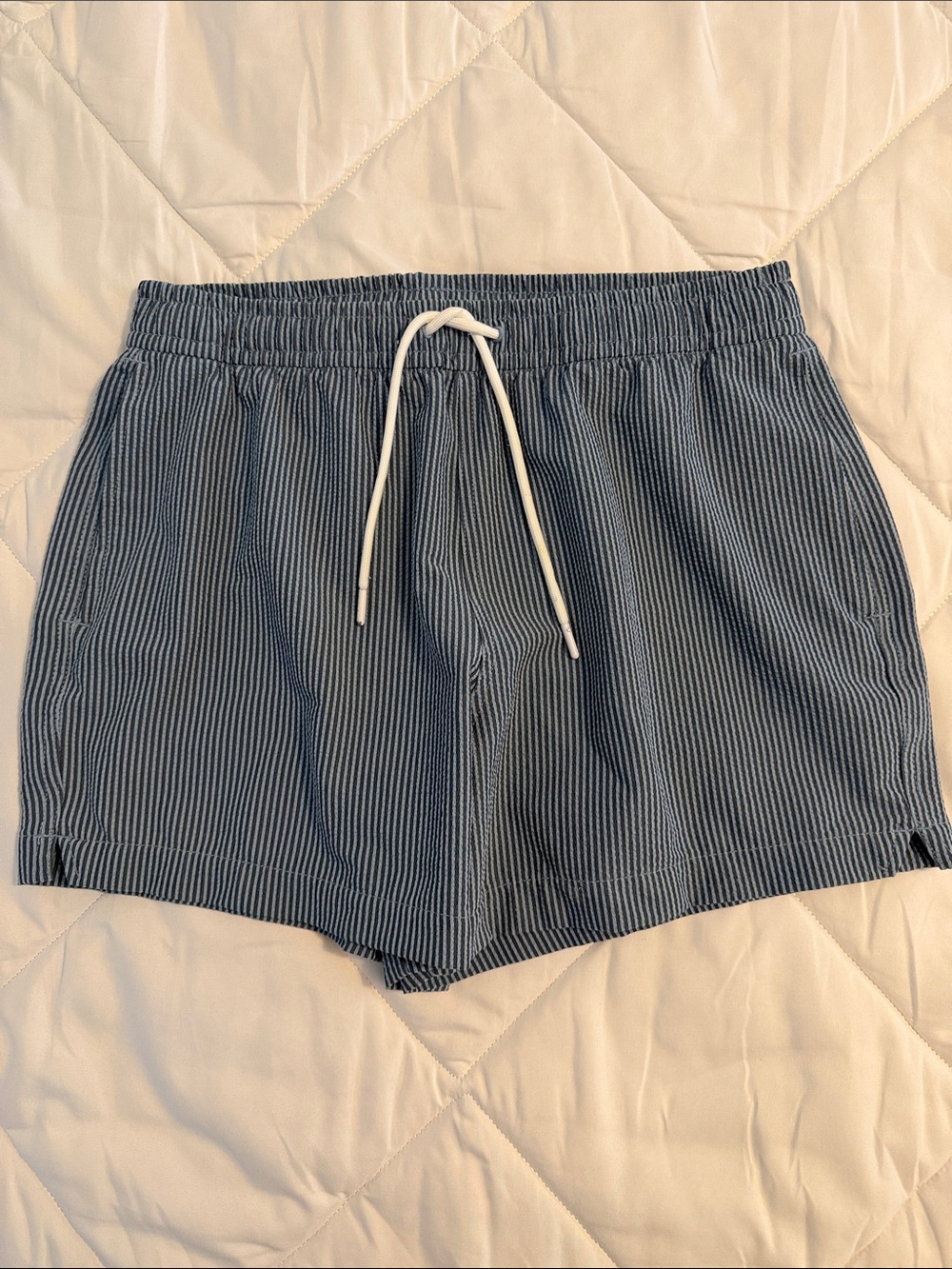 Abercrombie & Fitch Swim Trunks